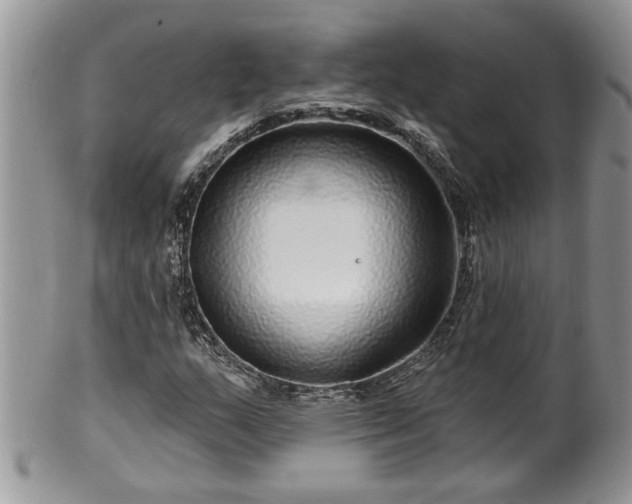 X0000100391159200806130945