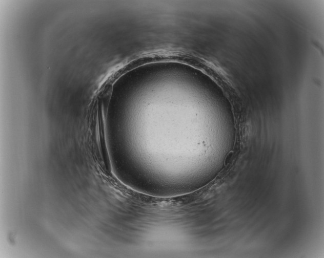 X0000100391160200806130945