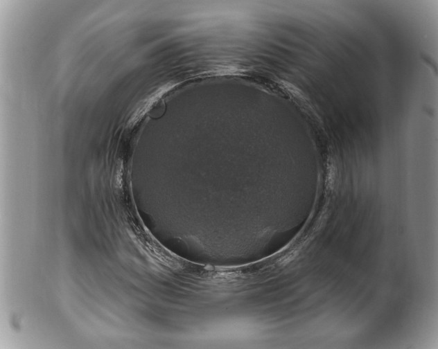 X0000100391161200806130945