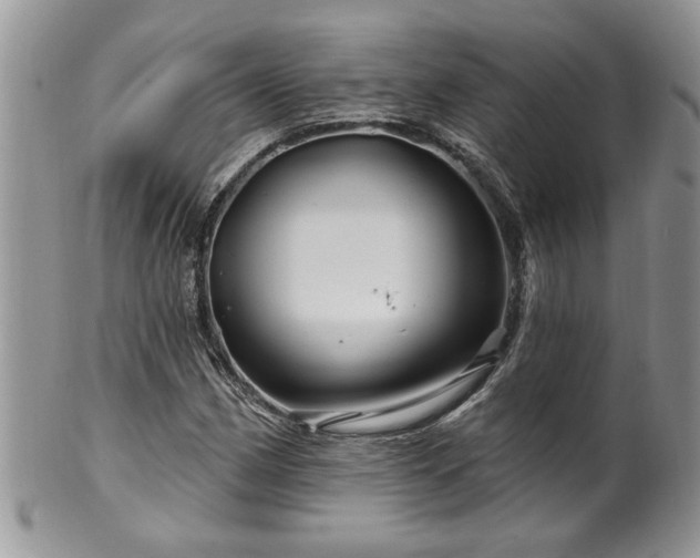 X0000100391162200806130945