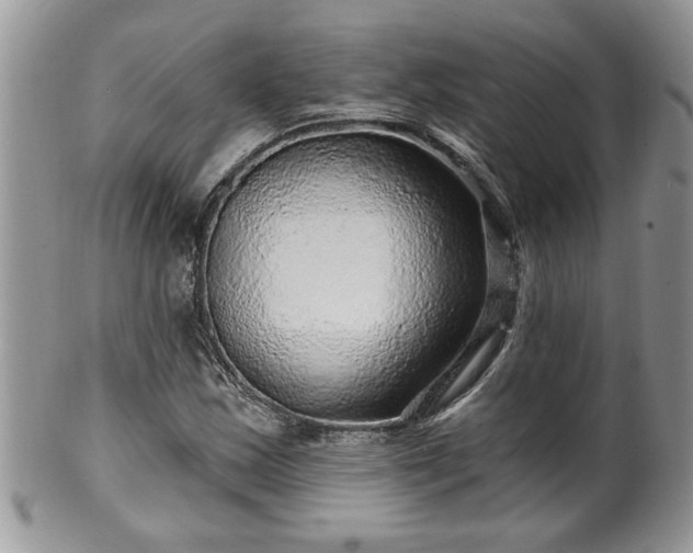 X0000100391163200806130945