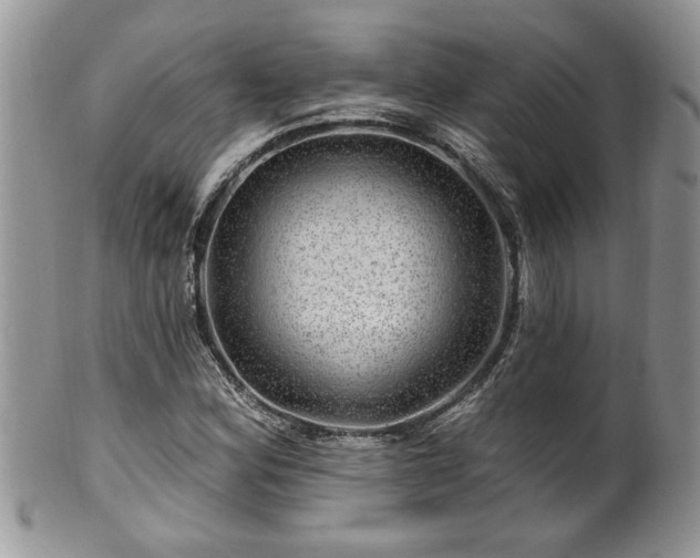 X0000100391164200806130945