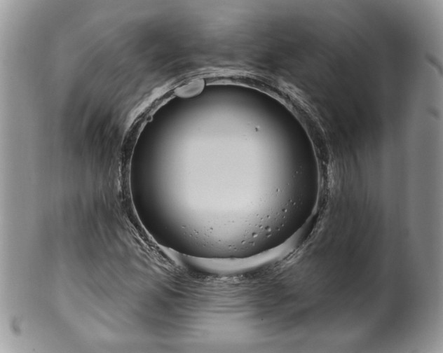 X0000100391165200806130945