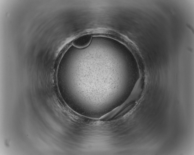 X0000100391166200806130945