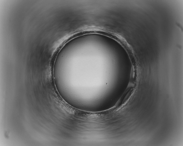 X0000100391167200806130945