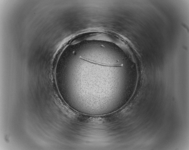 X0000100391168200806130945