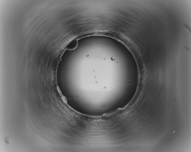 X0000100391169200806130945