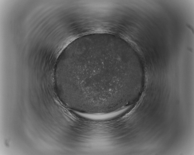 X0000100391170200806130945