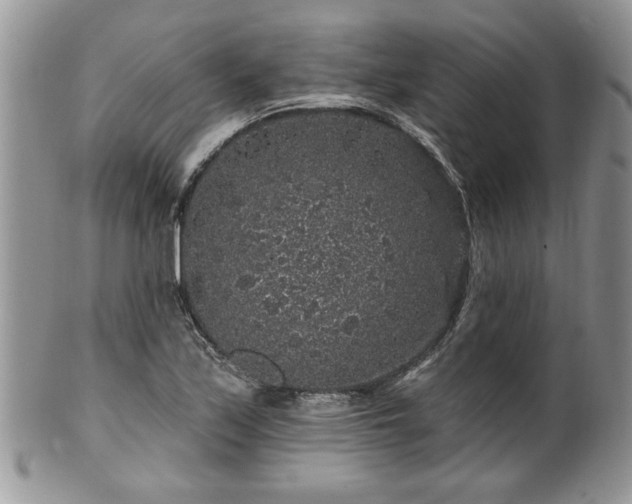 X0000100391171200806130945