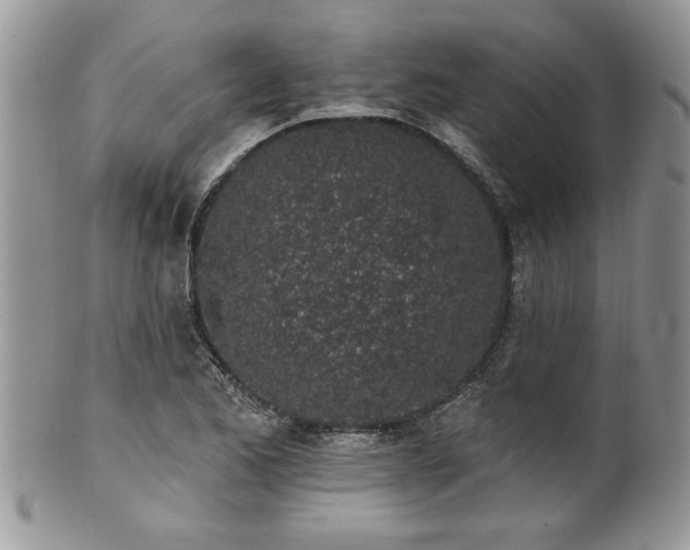 X0000100391173200806130945