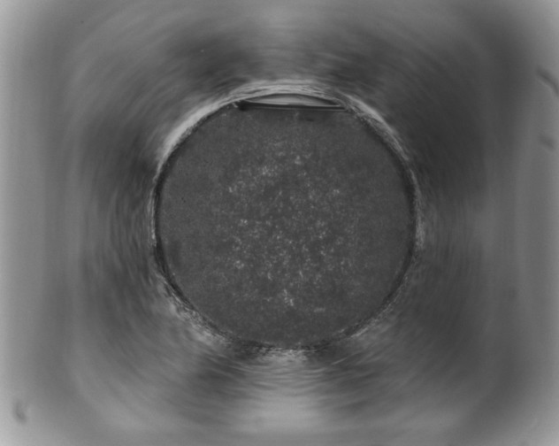 X0000100391174200806130945