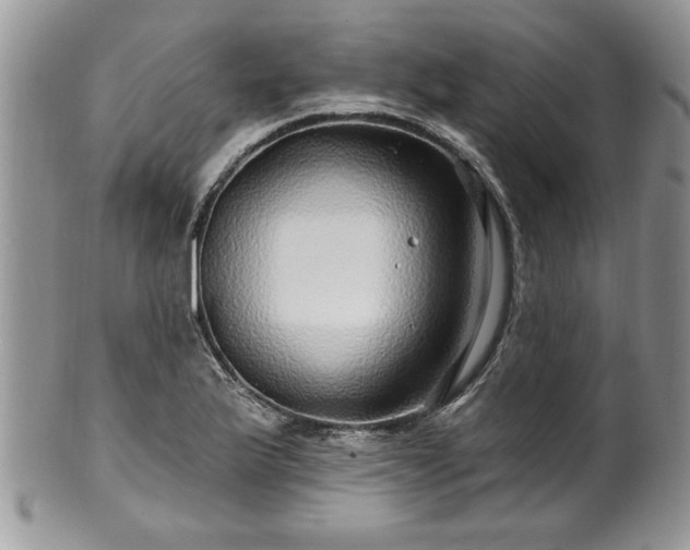 X0000100391175200806130945