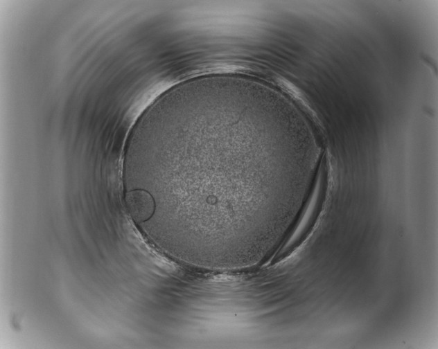 X0000100391178200806130945