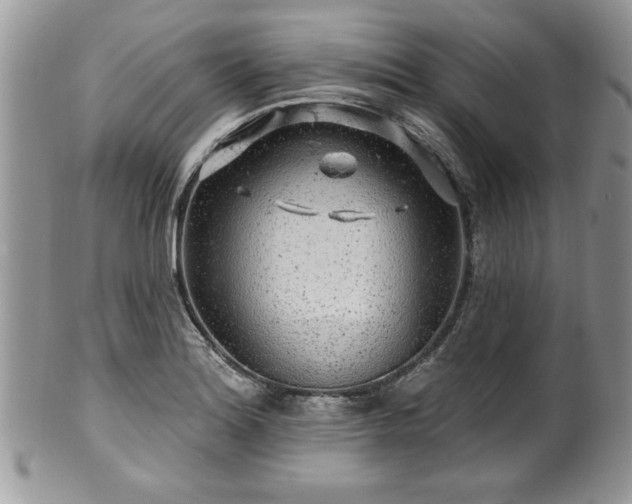 X0000100391180200806130945