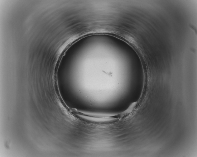 X0000100391181200806130945