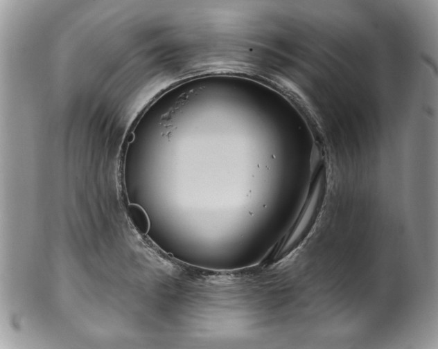 X0000100391182200806130945