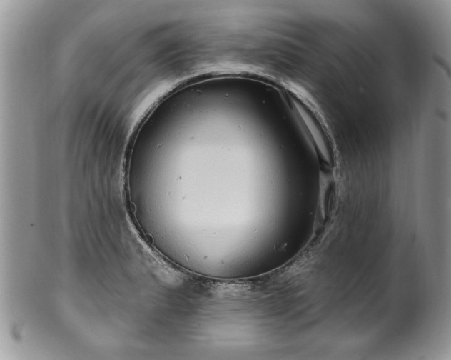 X0000100391183200806130945