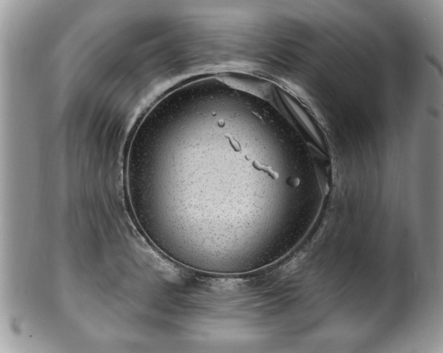 X0000100391184200806130945