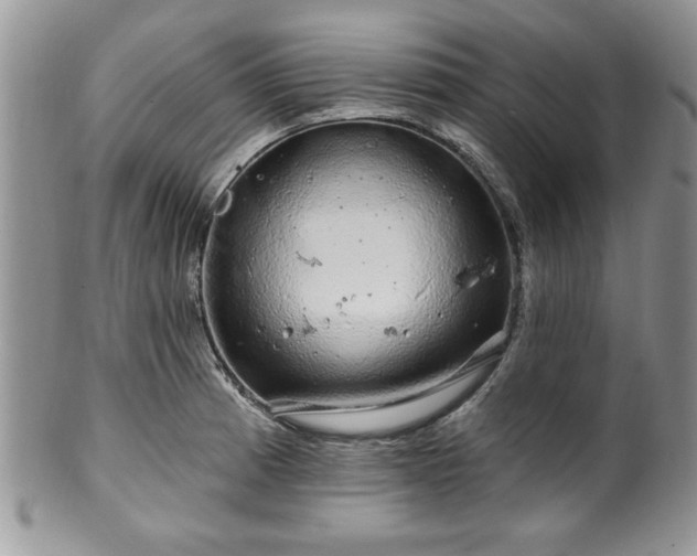 X0000100391185200806130945