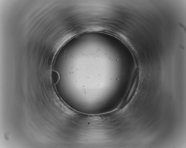 X0000100391186200806130945