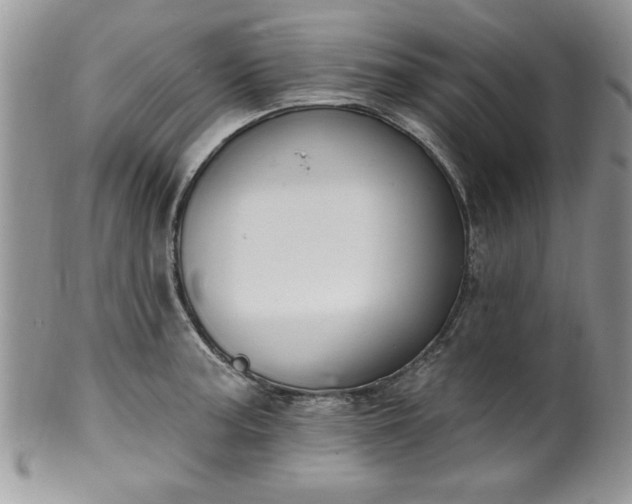 X0000100391187200806130945