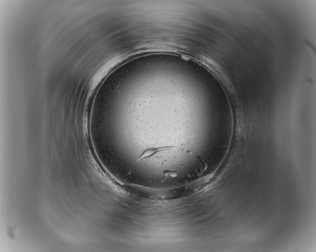 X0000100391188200806130945