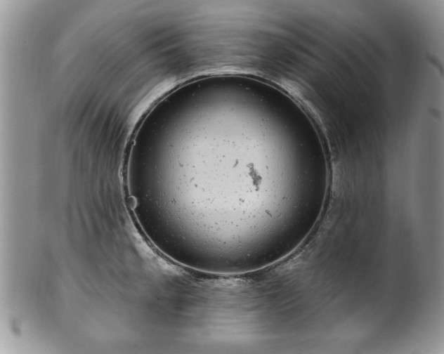 X0000100391189200806130945