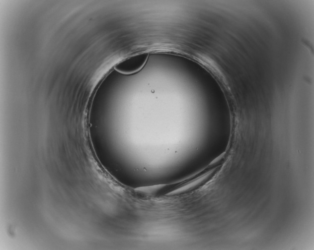 X0000100391190200806130945