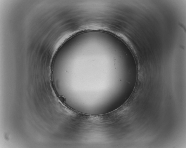 X0000100391191200806130945