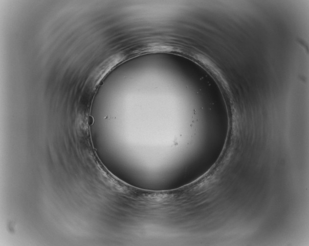 X0000100391193200806130945