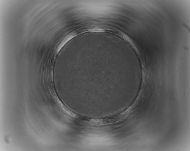 X0000100391194200806130945