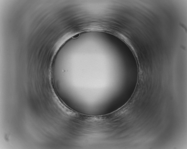 X0000100391195200806130945