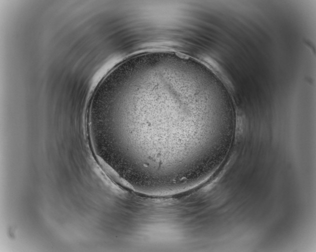 X0000100391196200806130945