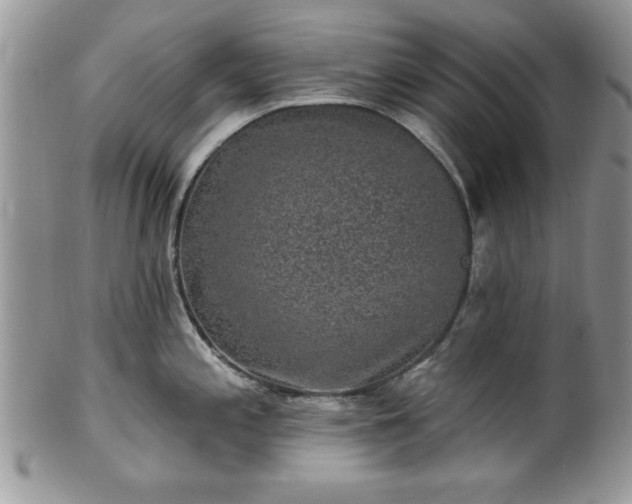 X0000100391197200806130945