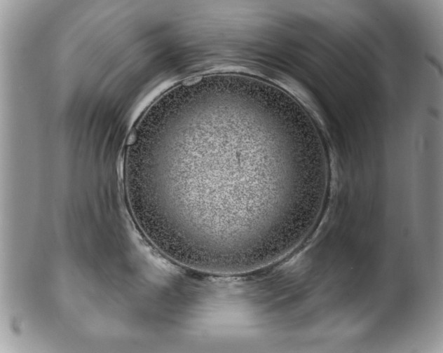 X0000100391198200806130945