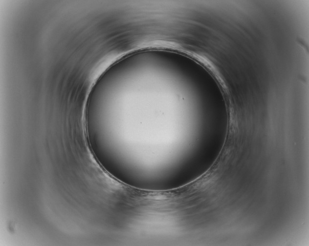 X0000100391199200806130945