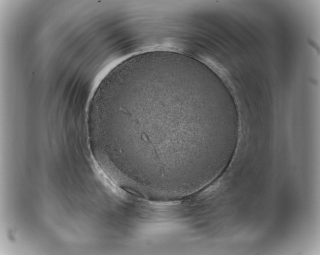 X0000100391200200806130945