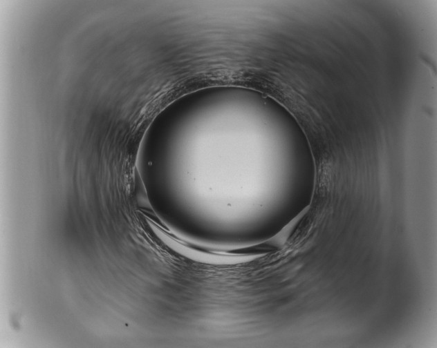 X0000100391202200806130944