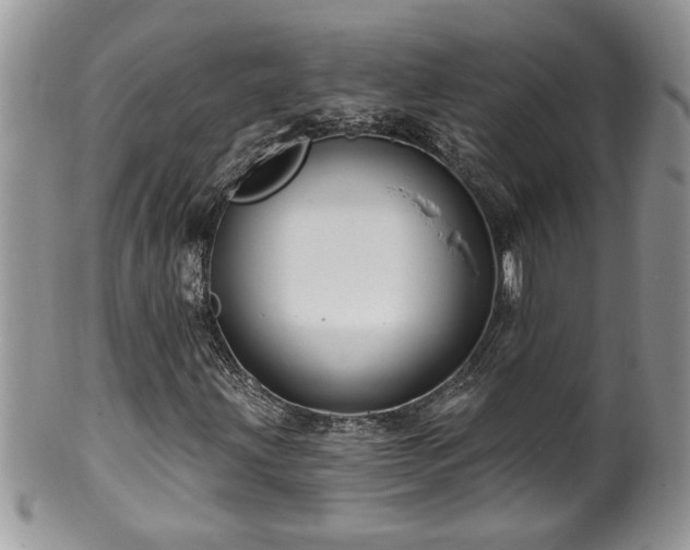 X0000100391203200806130944