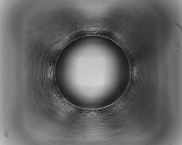 X0000100391204200806130944