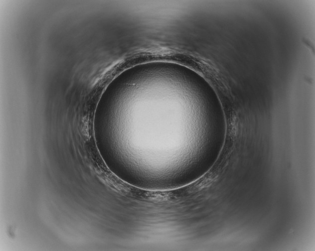 X0000100391205200806130944