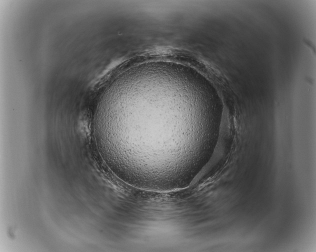 X0000100391206200806130944