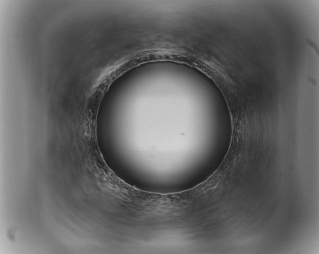 X0000100391207200806130944