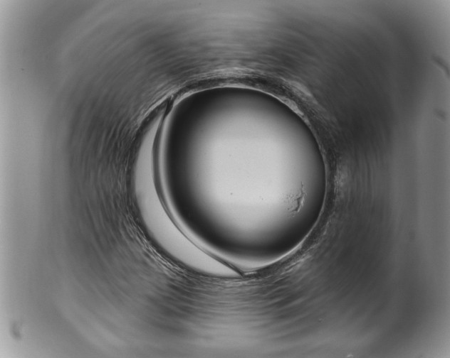 X0000100391209200806130944