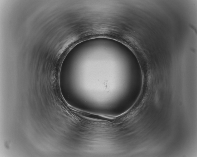 X0000100391210200806130944