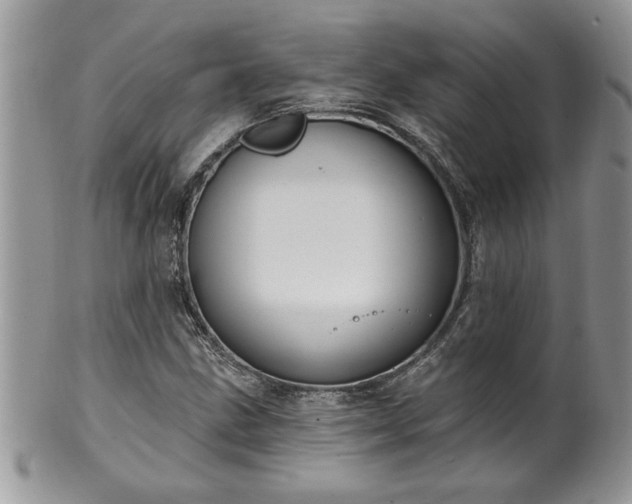 X0000100391211200806130944