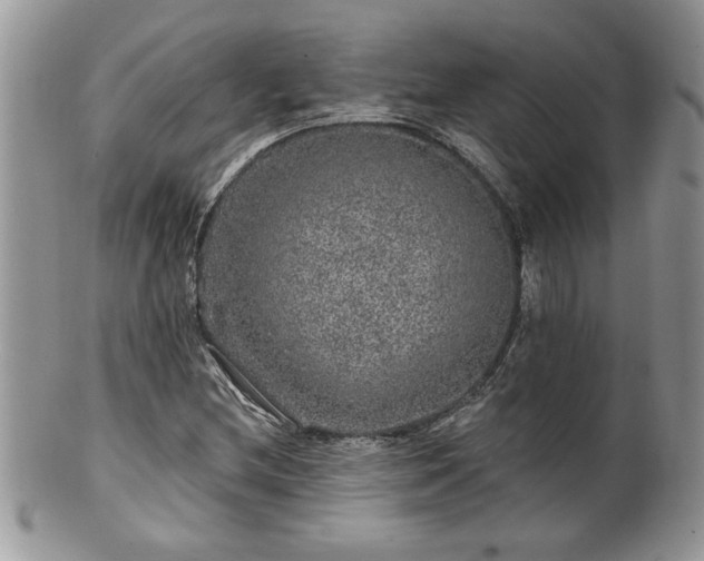 X0000100391212200806130944