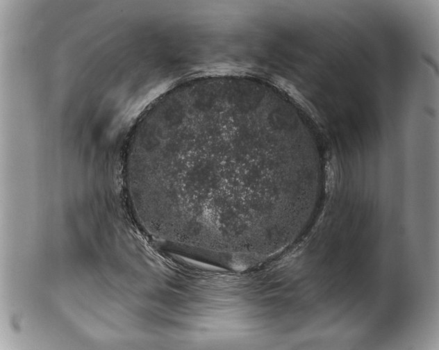 X0000100391213200806130944