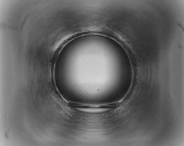 X0000100391214200806130944