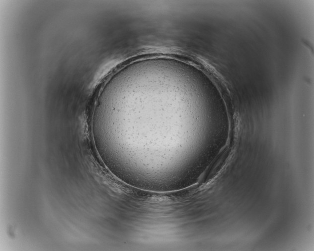 X0000100391215200806130944